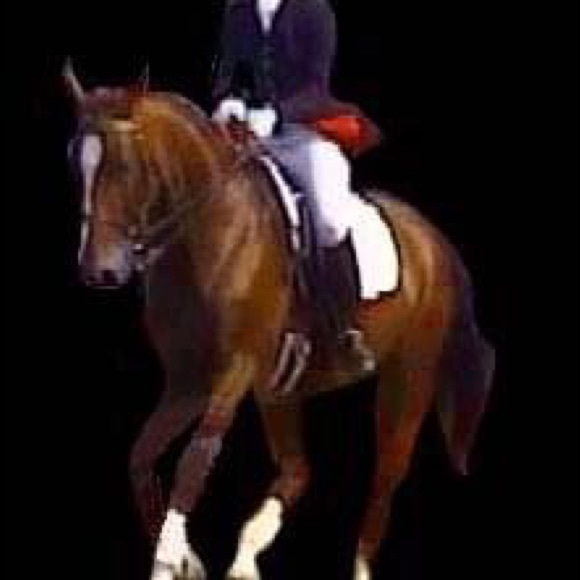 Meet your Posher, Gail - Picture 14 of 14